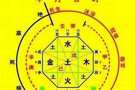 喜用神 金水|八字喜用金水注意什么意思 (八字喜用神金水是什么意思)